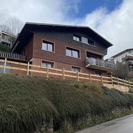 Chalet Les Trois Vallées Villa La Bresse Esterno foto